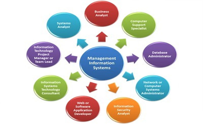 Certified in Management Information System